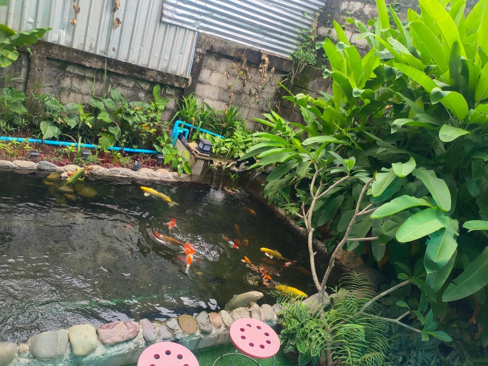 Vang Vieng Champa Hotel Dış mekan fotoğraf