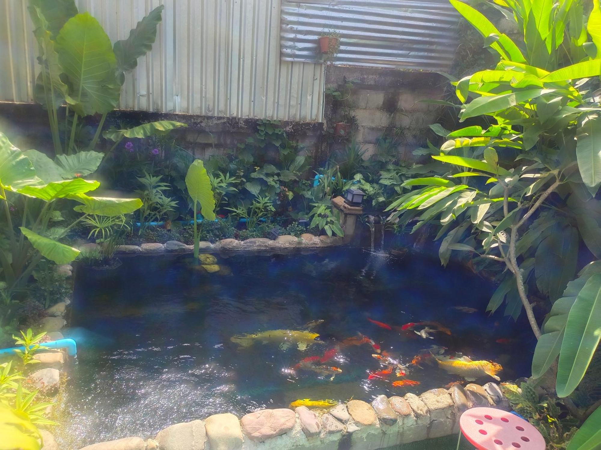 Vang Vieng Champa Hotel Dış mekan fotoğraf